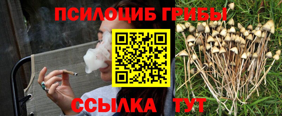 Бийск  даркнет сайт  Галлюциногенные грибы Psilocybe  Вход с VPN  Псилоцибиновые грибы прущие грибы 